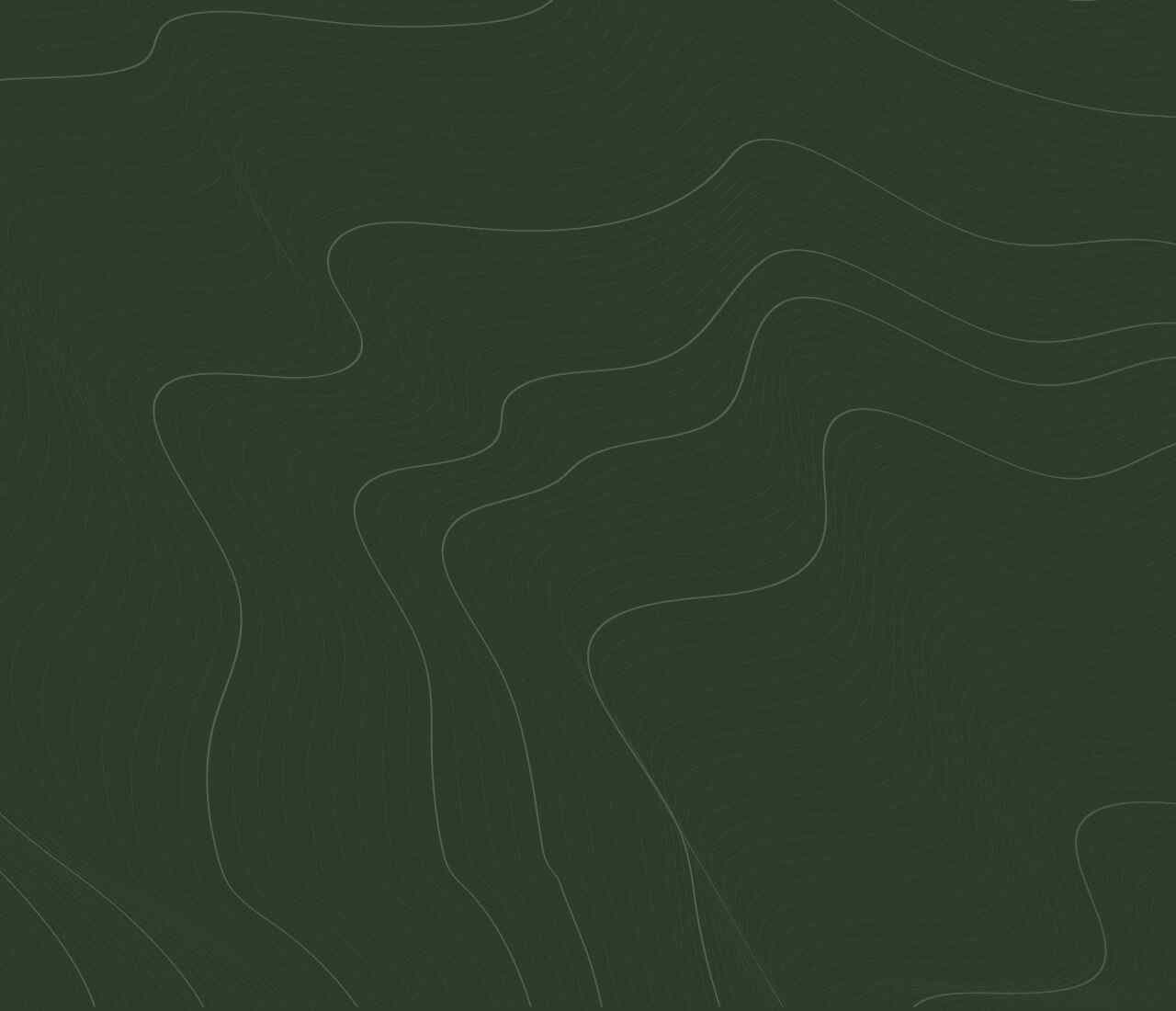https://dhuritower.com/wp-content/uploads/2020/02/green-background-1280x1100.jpg
